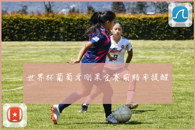 世界杯葡萄牙刚果金赛前赔率提醒