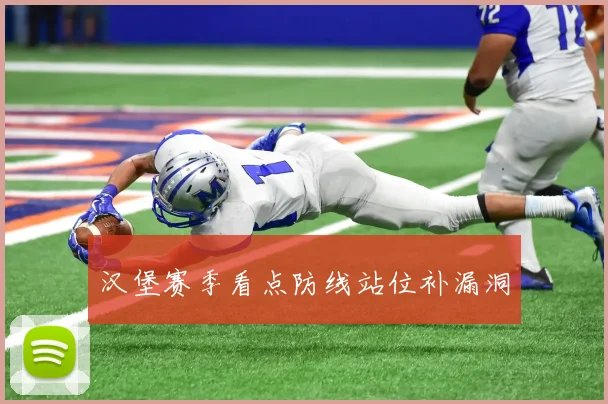 汉堡赛季看点防线站位补漏洞