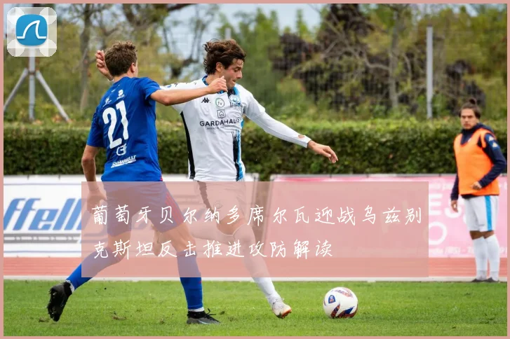 葡萄牙贝尔纳多席尔瓦迎战乌兹别克斯坦反击推进攻防解读