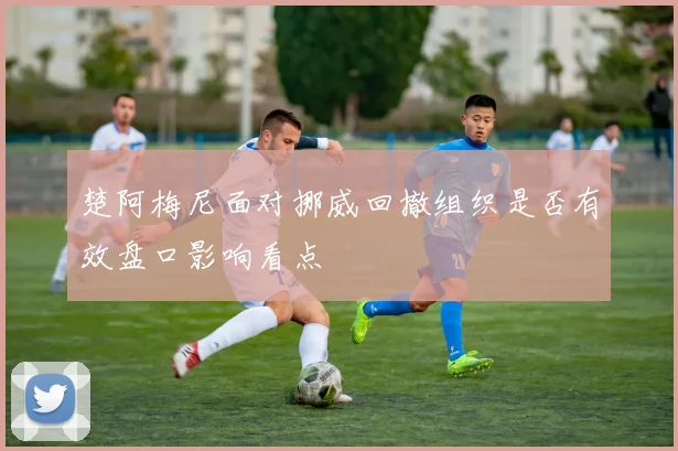 楚阿梅尼面对挪威回撤组织是否有效盘口影响看点